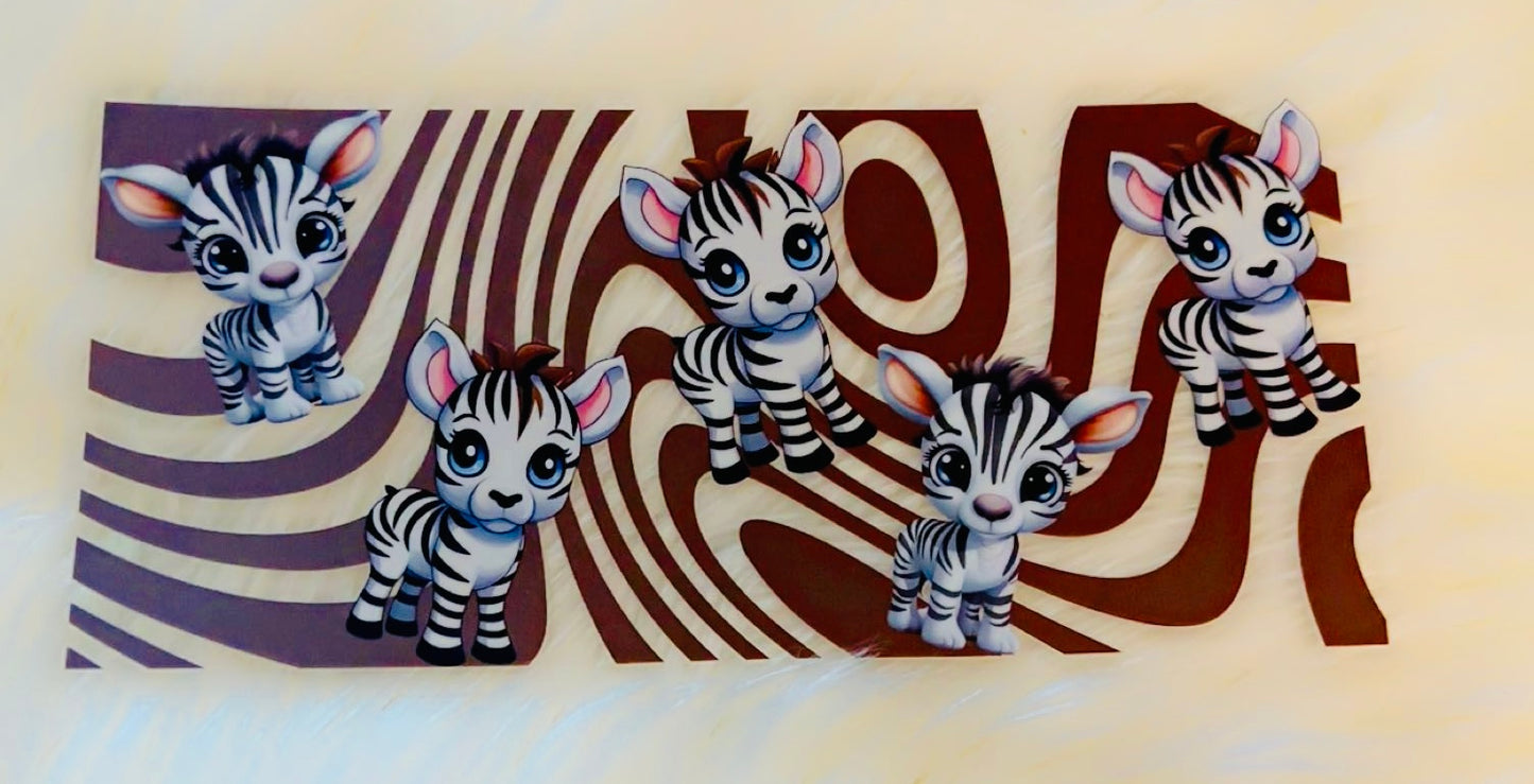 Baby Zebra’s